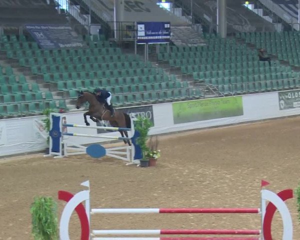 Reitturnier Kreuth 2017