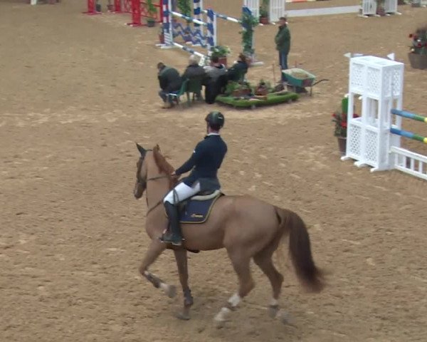 Reitturnier Kreuth 2017