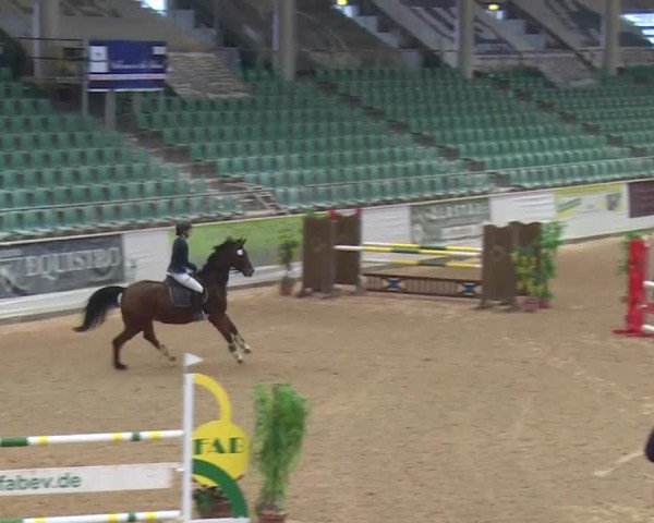 Reitturnier Kreuth 2017