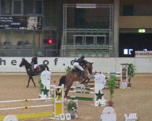 Reitturnier Kreuth 2017