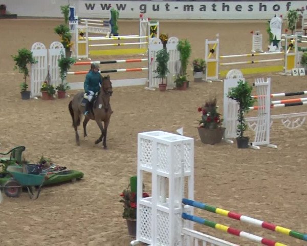 Reitturnier Kreuth 2017
