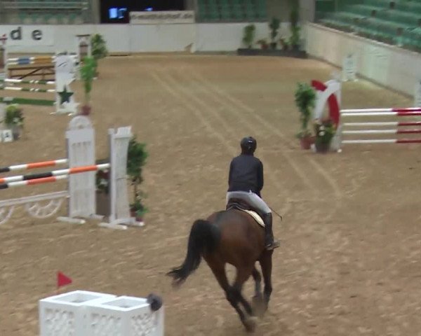 Reitturnier Kreuth 2017