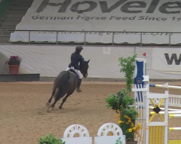 Reitturnier Kreuth 2017