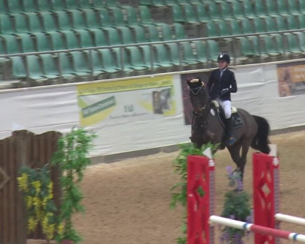 Reitturnier Kreuth 2017