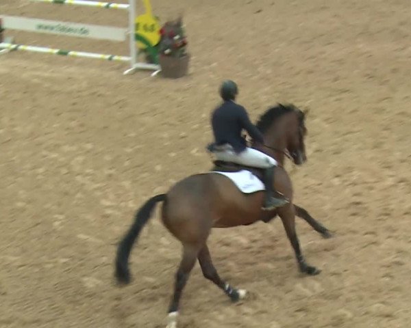 Reitturnier Kreuth 2017