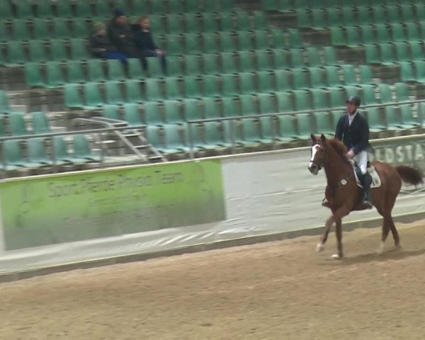 Reitturnier Kreuth 2017