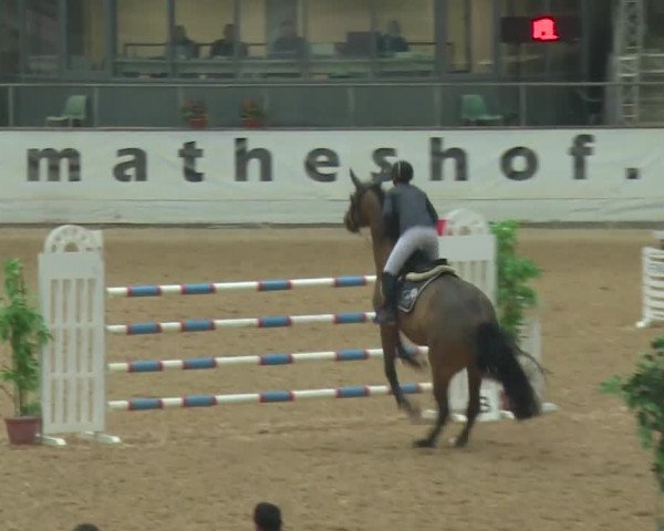 Reitturnier Kreuth 2017