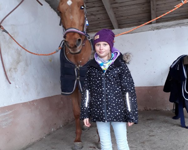 jumper Spot On (Hanoverian, 2012, from Goldfever 3)