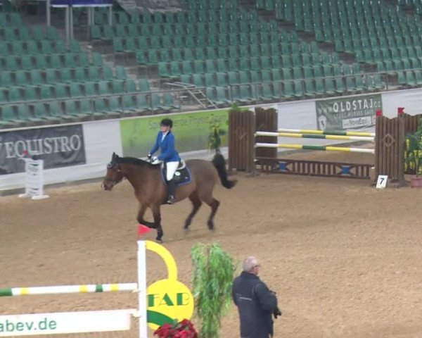 Reitturnier Kreuth 2017