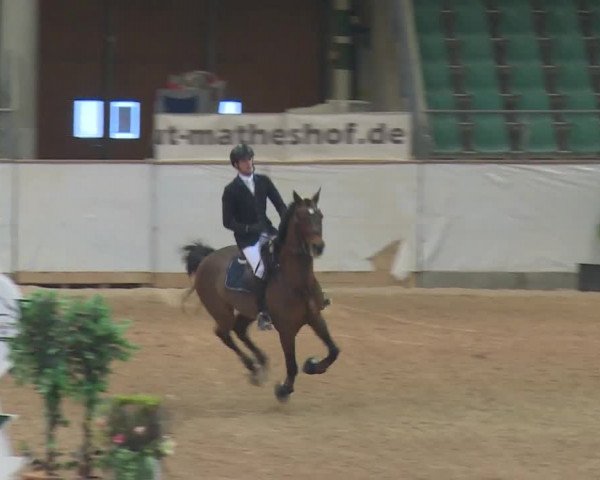 Reitturnier Kreuth 2017