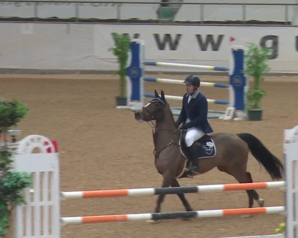 Reitturnier Kreuth 2017