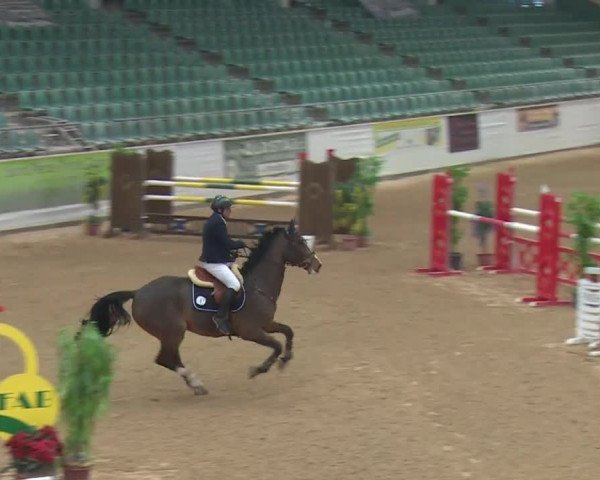 Reitturnier Kreuth 2017