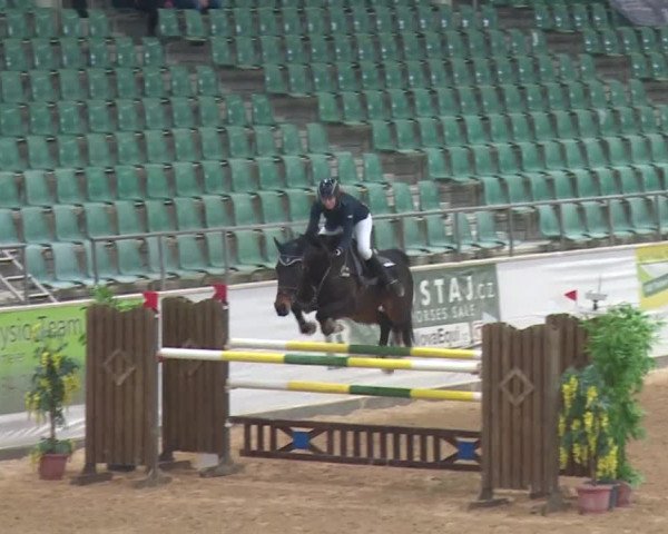 Reitturnier Kreuth 2017