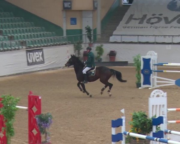 Reitturnier Kreuth 2017
