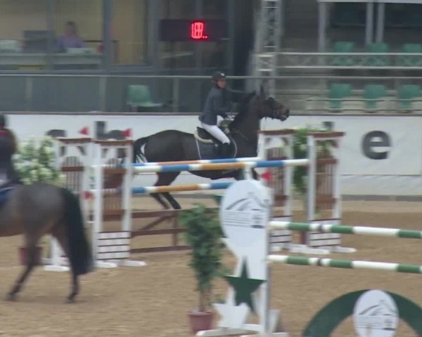 Reitturnier Kreuth 2017