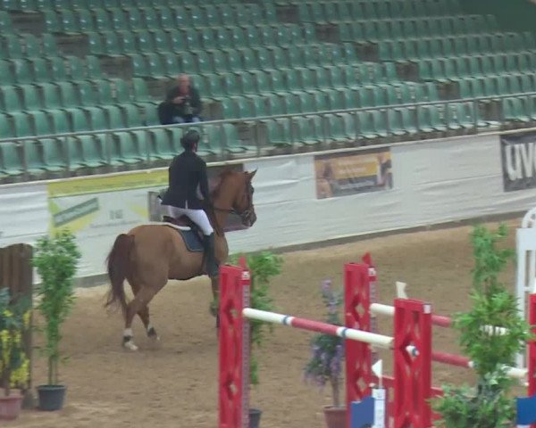 Reitturnier Kreuth 2017