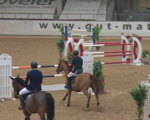 Reitturnier Kreuth 2017