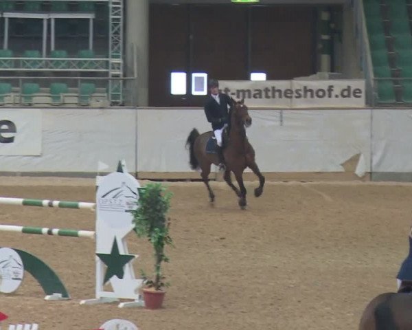 Reitturnier Kreuth 2017