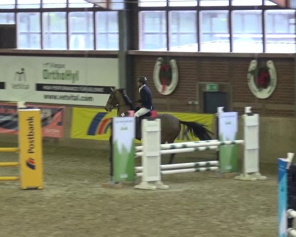 Late Entry Köln-Leverkusen 2017 Springen
