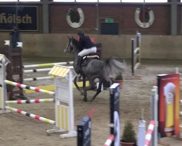 Late Entry Köln-Leverkusen 2017 Springen