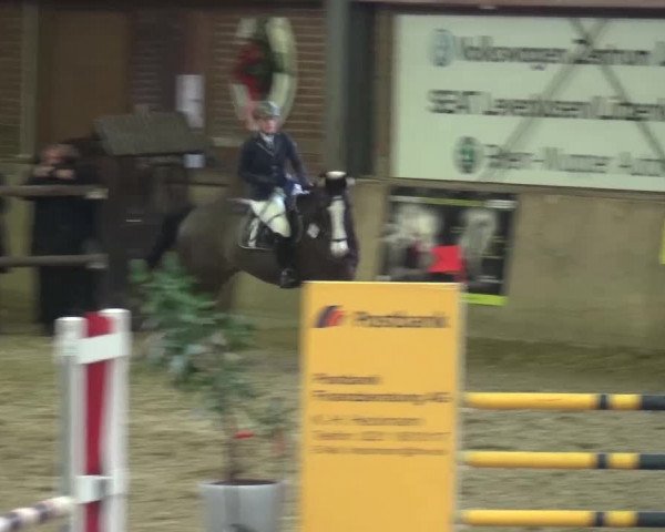 Late Entry Köln-Leverkusen 2017 Springen