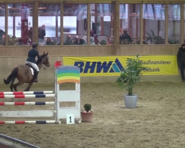 Late Entry Köln-Leverkusen 2017 Springen