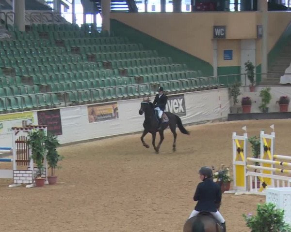 Reitturnier Kreuth 2017