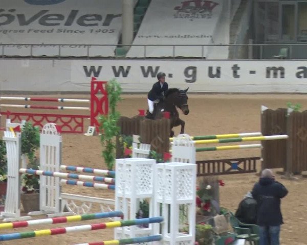 Reitturnier Kreuth 2017