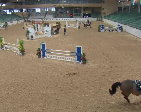 Reitturnier Kreuth 2017
