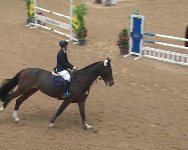 Reitturnier Kreuth 2017