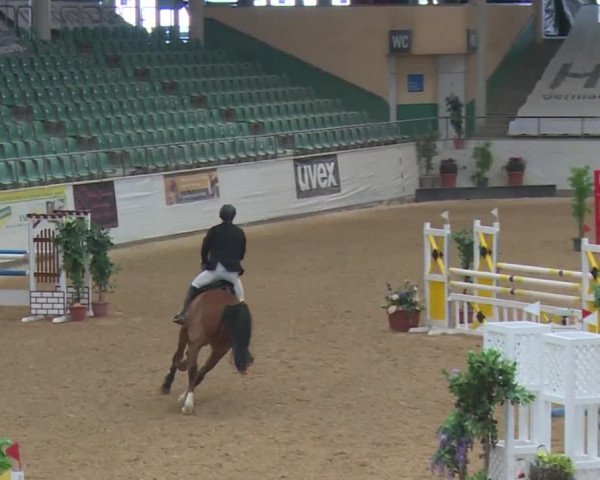 Reitturnier Kreuth 2017