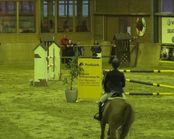 Late Entry Köln-Leverkusen 2017 Springen