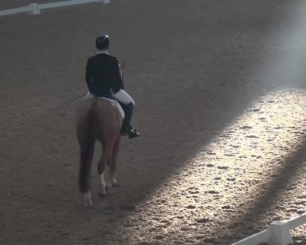 Hallen-Dressurturnier Kreuth 2017