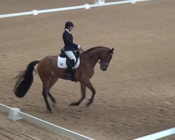 Hallen-Dressurturnier Kreuth 2017