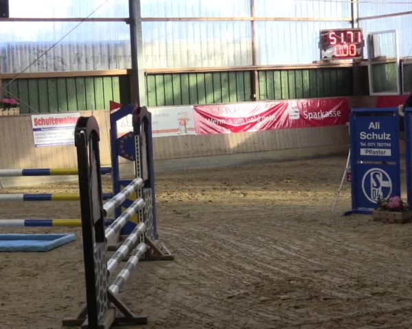 3. Hallenspringturnier Velen 2017