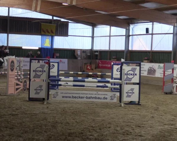 3. Hallenspringturnier Velen 2017