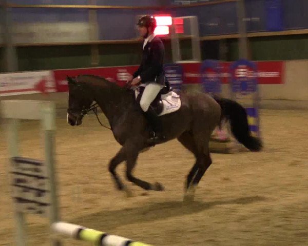 3. Hallenspringturnier Velen 2017