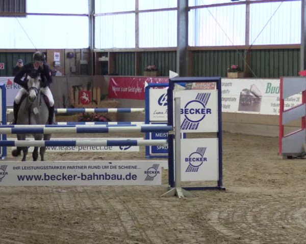 3. Hallenspringturnier Velen 2017