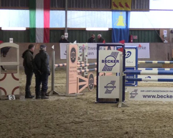 3. Hallenspringturnier Velen 2017