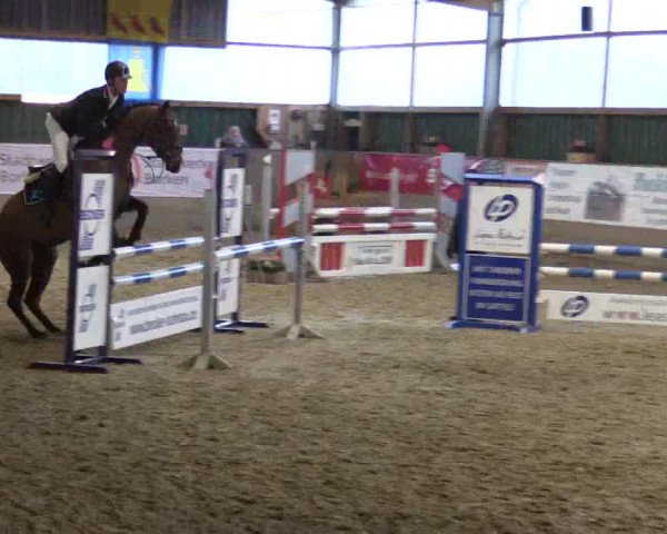 3. Hallenspringturnier Velen 2017