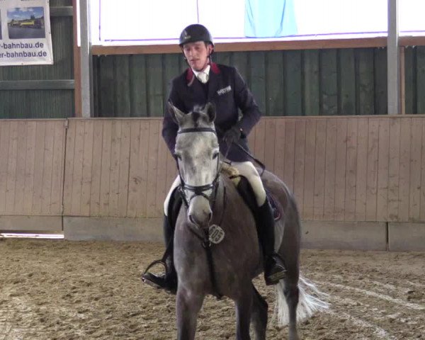 3. Hallenspringturnier Velen 2017