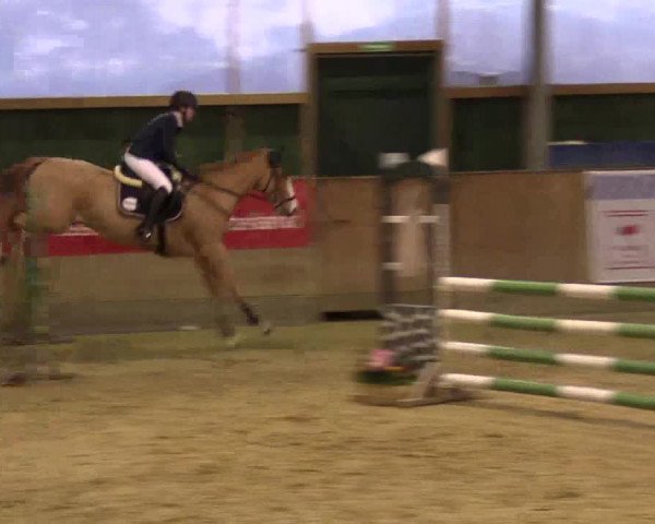 3. Hallenspringturnier Velen 2017