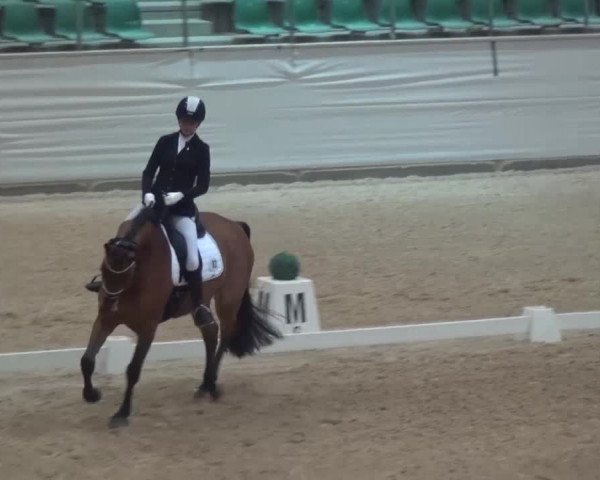 Hallen-Dressurturnier Kreuth 2017