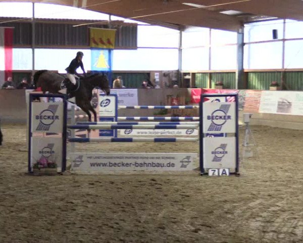 3. Hallenspringturnier Velen 2017