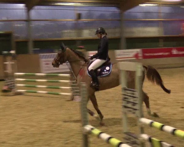 3. Hallenspringturnier Velen 2017