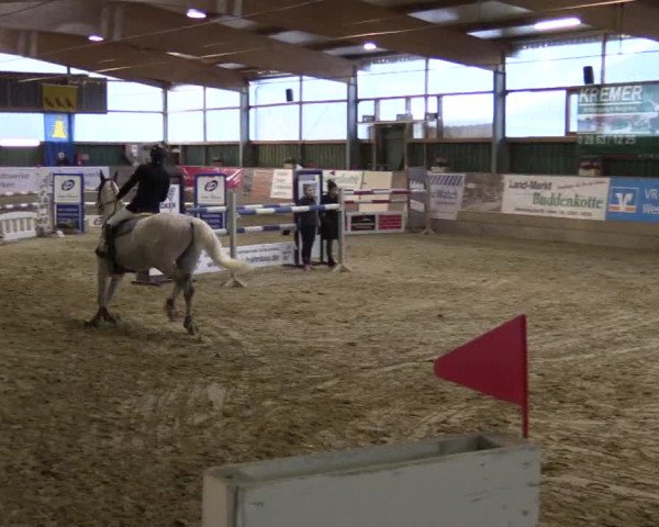 3. Hallenspringturnier Velen 2017