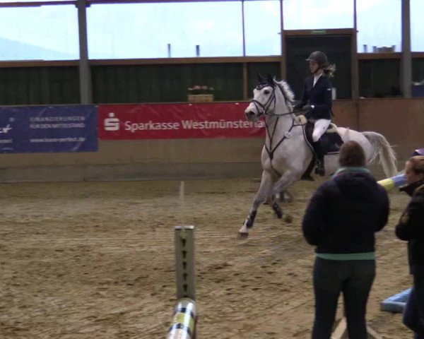 3. Hallenspringturnier Velen 2017