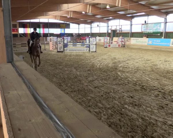 3. Hallenspringturnier Velen 2017