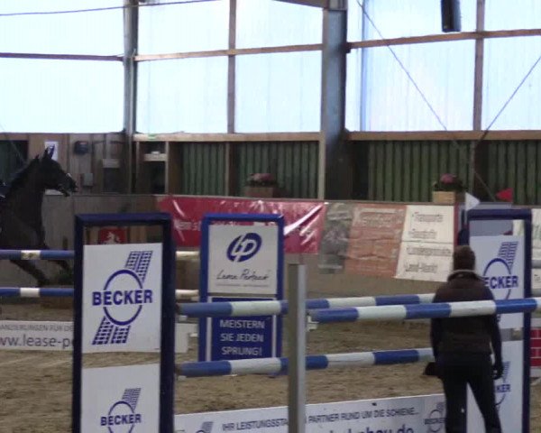 3. Hallenspringturnier Velen 2017