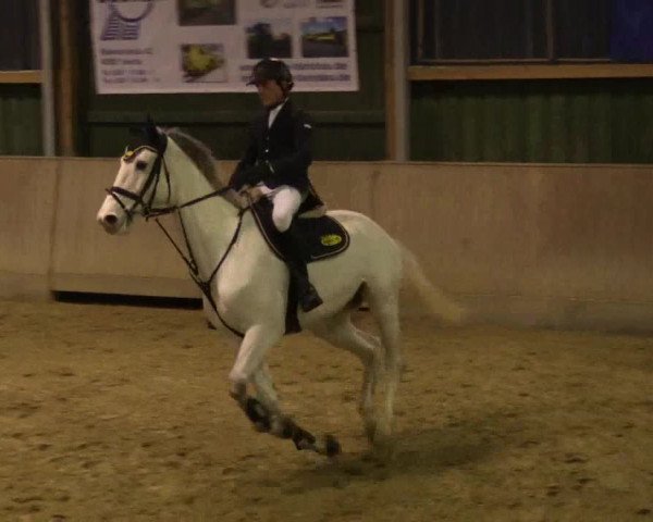 3. Hallenspringturnier Velen 2017